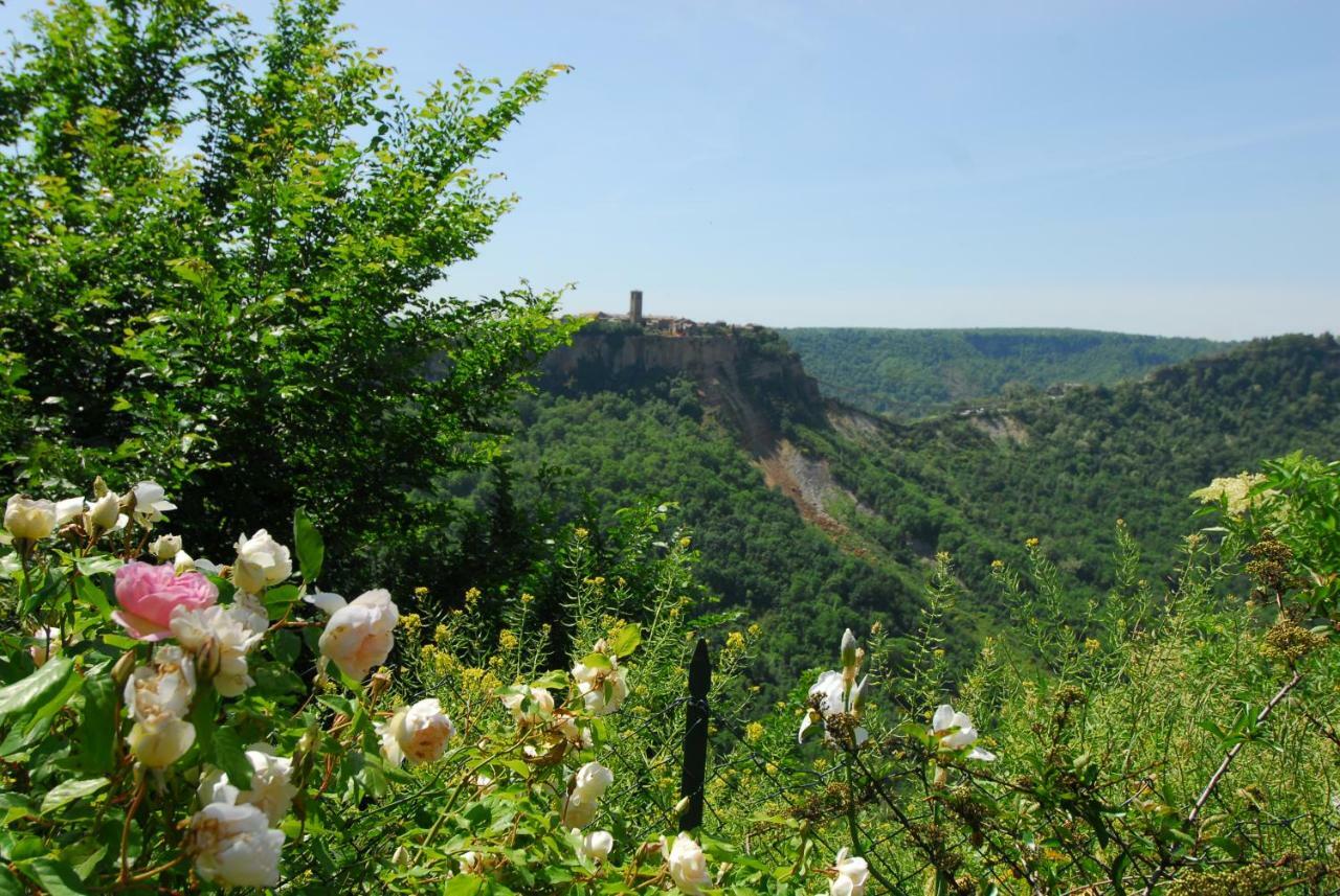 Villa Casa Con Vista Mozzafiato Su Civita Di Bagnoregio à Lubriano Extérieur photo